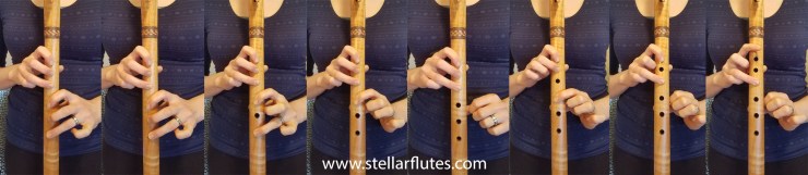 The Hijaz Scale www.stellarflutes.com